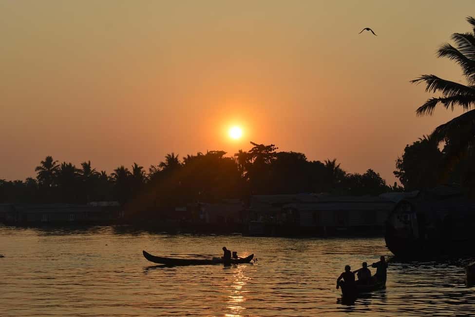 Aleppey Houseboat backwater Day Tour with Lunch and pickup - From Kochi to Alleppey in AC comfort