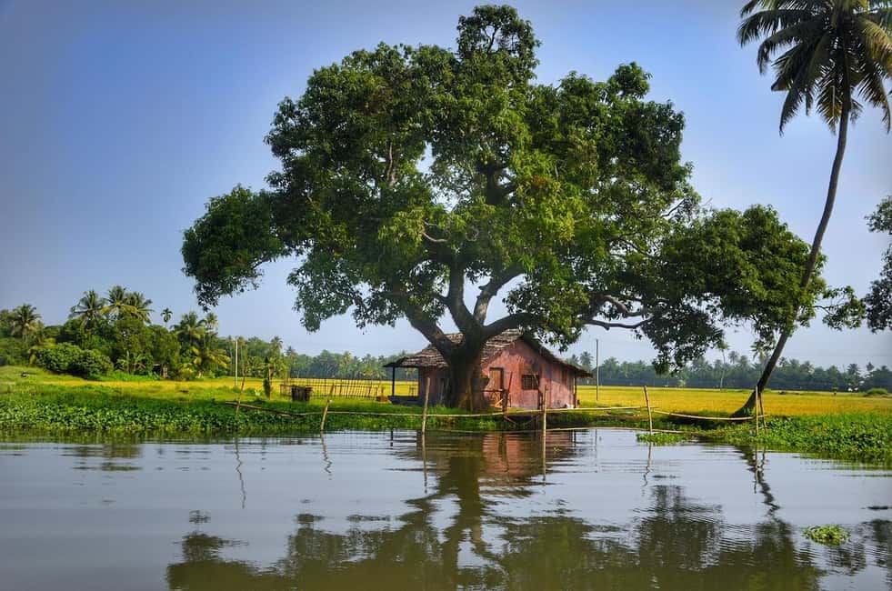 Aleppey Houseboat backwater Day Tour with Lunch and pickup - The backwaters cruise: village life at water level