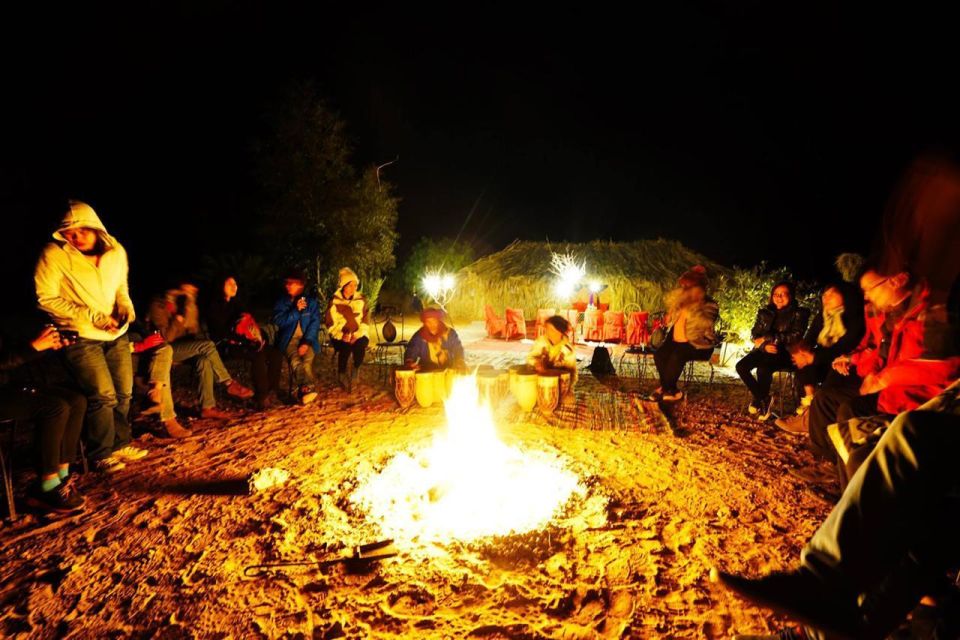 All-Day Desert Safari with Cultural Program - Camel ride to camp: how the Thar feels when you slow down