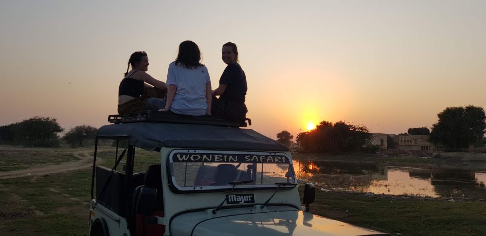 All-Day Desert Safari with Cultural Program - Dinner in camp: Rajasthani buffet, pure veg, full-night fuel