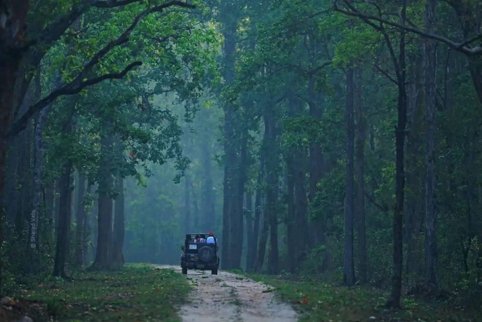 Canter Safari: Skip-the-line Entry Ranthambore Tiger Reserve - Who this safari fits best (and who should skip it)