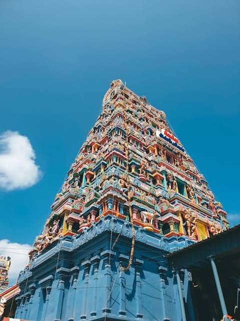 Chennai: Guided Day Tour of the Highlights of Chennai - Pattinampakkam fish market walk: watch a working neighborhood, not a staged show