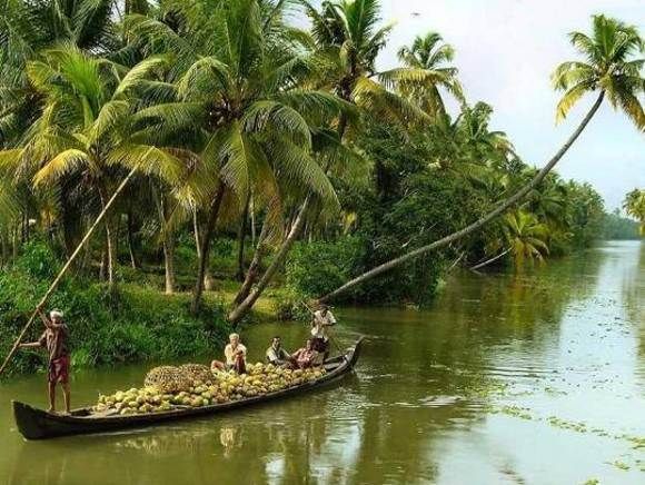 Cochin : Alleppey/Alappuzha Backwater Canoe (Shikara) Cruise - Why This Shikara Cruise Works Better Than Bigger Boat Days