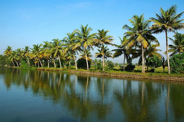 Cochin : Alleppey/Alappuzha Backwater Canoe (Shikara) Cruise - Your Boat Experience: What the Cruise Really Feels Like