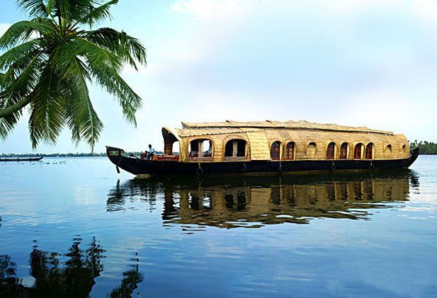 Cochin: Alleppey Backwater Private Day Cruise by Houseboat - Key things to know before you go