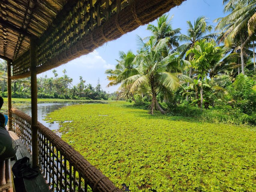 Cochin: Backwater Village Eco Boat Cruise with Lunch - The Motorless Covered Country Boat Experience