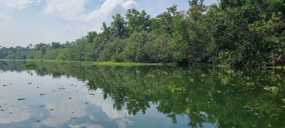 Cochin: Backwater Village Eco Boat Cruise with Lunch - Lunch in the Countryside: Banana Leaves and Real Kerala Comfort