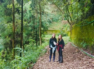 Darjeeling Cultural & Nature Walking Guided Tour - From Ashmita Trek & Tours to the First Views: The 9 AM Start