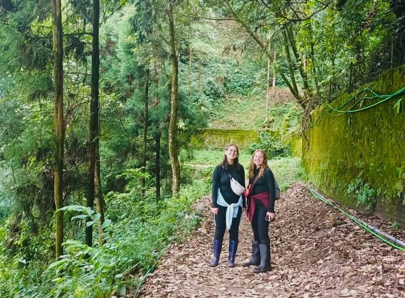 Darjeeling Cultural & Nature Walking Guided Tour - From Ashmita Trek & Tours to the First Views: The 9 AM Start