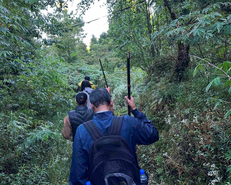Darjeeling: Tiger Hill Sunrise Hike – Guided Day Trip - Alubari (Yolmowa Mak Dhog) Monastery: quiet culture with a built-in reason