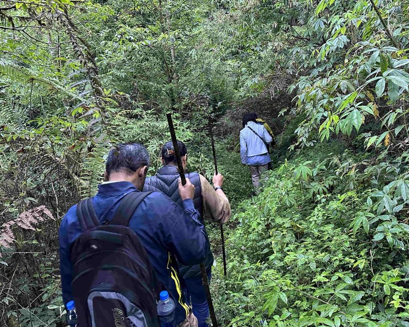 Darjeeling: Tiger Hill Sunrise Hike – Guided Day Trip - Who this Tiger Hill sunrise hike suits best