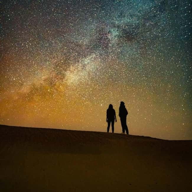 Dazzling Half Day Camel & Desert Safari With Sunset & Dinner - Key things that make this tour worth your time