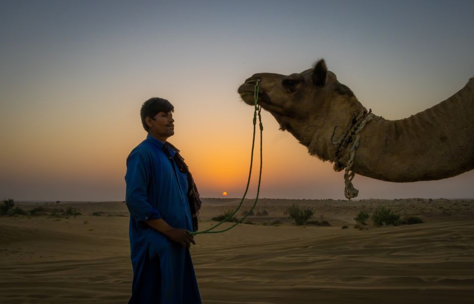 Dazzling Half Day Camel & Desert Safari With Sunset & Dinner - Who should book this, and who should reconsider