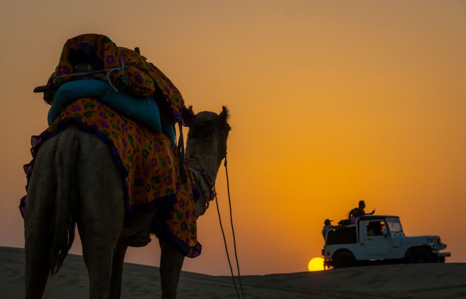 Dazzling Half Day Camel & Desert Safari With Sunset & Dinner - Camel safari basics: 15–30 minutes that put you in the Thar