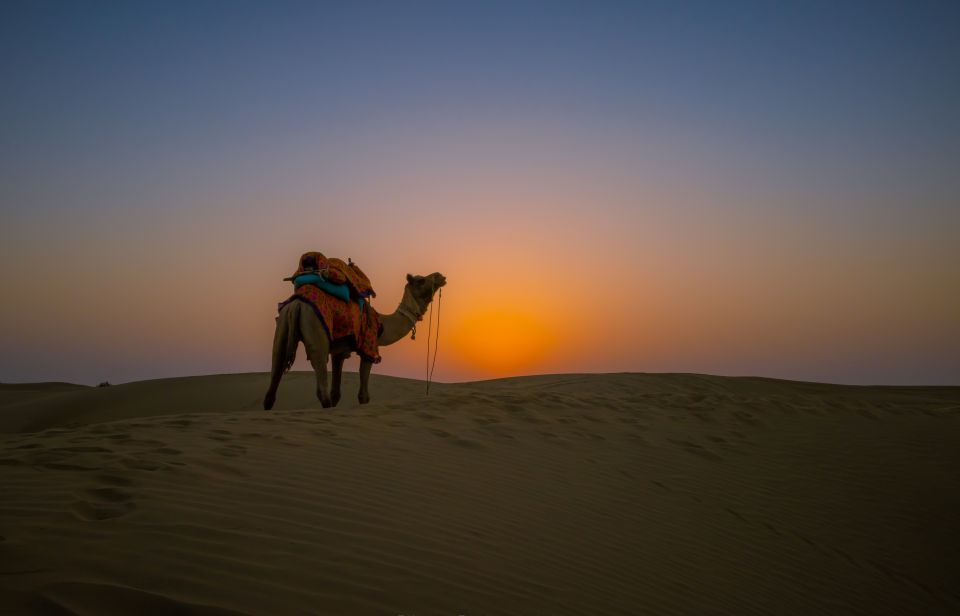 Dazzling Half Day Camel & Desert Safari With Sunset & Dinner - The sunset segment: where the tour earns its name