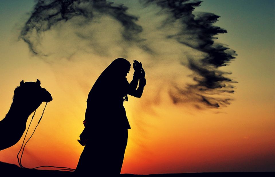 Dazzling Half Day Camel & Desert Safari With Sunset & Dinner - Price and value: what you really get for about $32