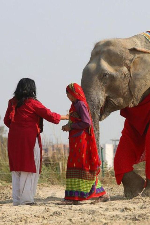 Delhi: 3Day Golden Triangle with Elephant SOS (5 Star Hotel) - Delhi–Agra–Jaipur works because the days are tightly themed