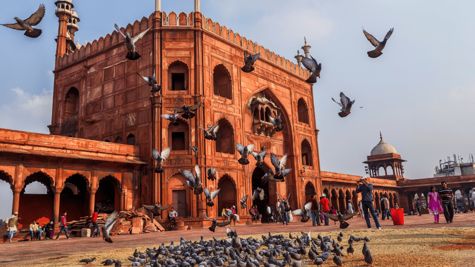 Delhi City Tour: Old, New, or Both – Half & Full Day Options - Key takeaways before you book