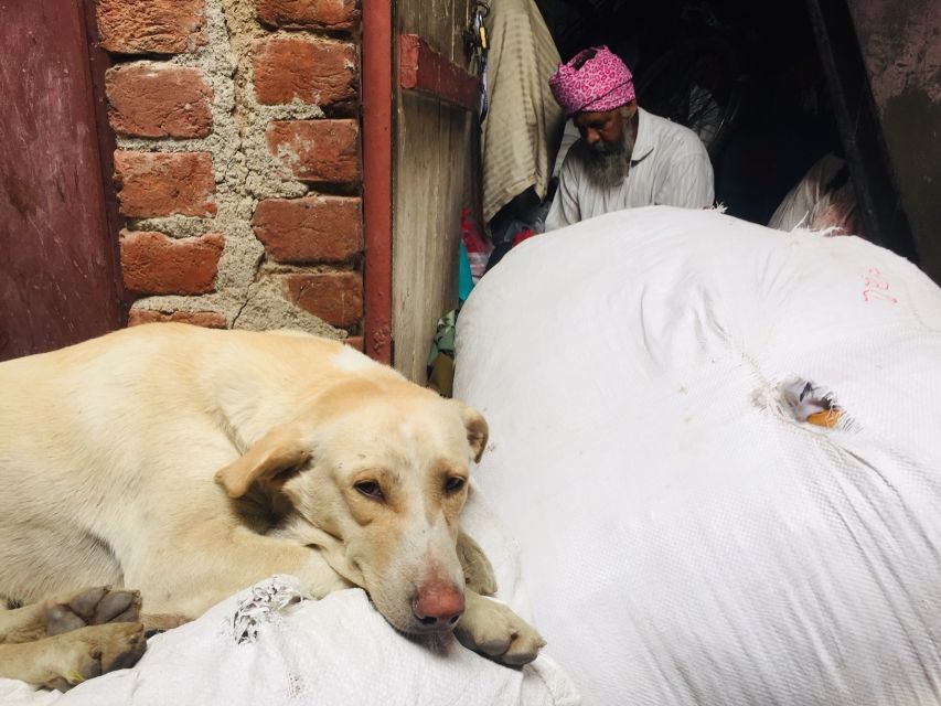 Delhi: Ethical Sanjay Colony Slum Tour - Meeting Points, Route Flow, and What the First Minutes Are Like