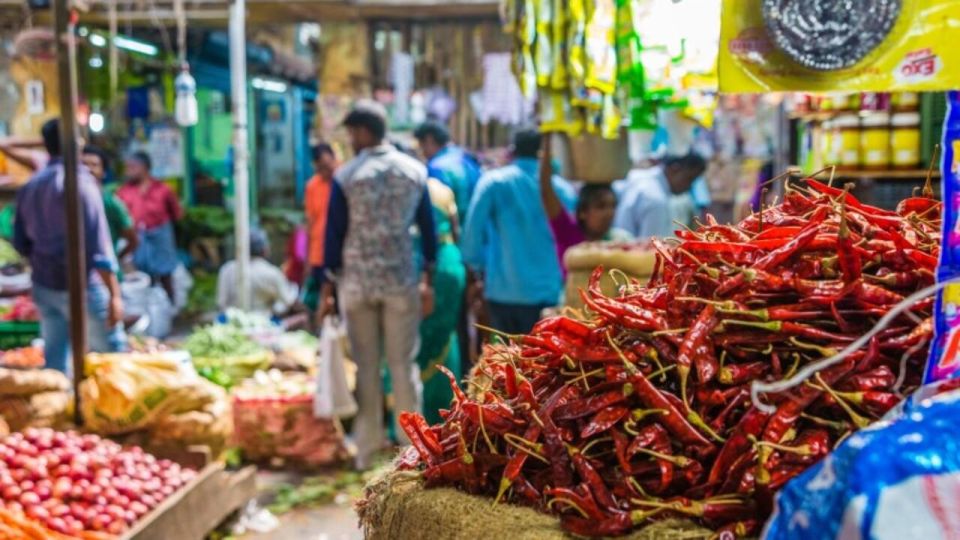Delhi: Half day Shopping tour with guide by car. - Price and Time: How Much Shopping Can You Really Get?