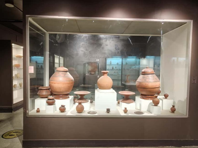 Delhi: National Museum Tour - Price and timing: $17 is the whole point