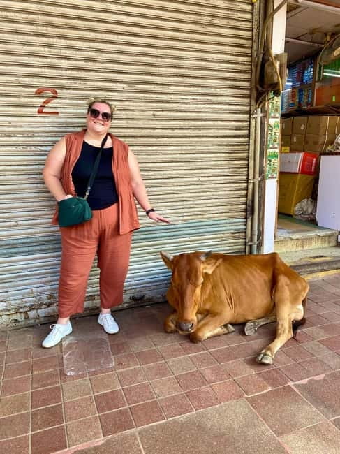 Delhi: Old Delhi's Street Food, Temples & Spice Market Tour - Key highlights worth circling