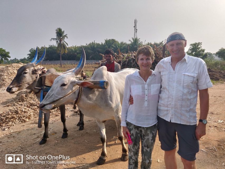 From Bangalore: Day Trip to Somnathpur & Talakadu with Lunch - How This 8-Hour Bangalore Day Trip Works