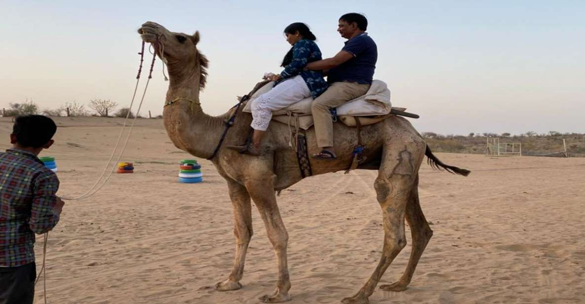 From Jodhpur: Half-Day Tour, Camel Ride, & Dinner in Osian - Key Things You’ll Notice on This Osian Tour