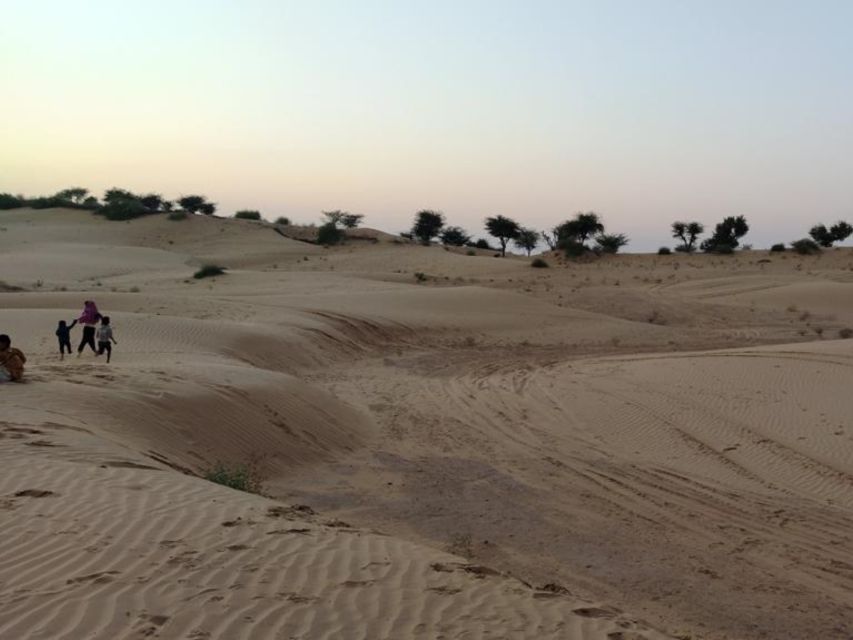 From Jodhpur: Half-Day Tour, Camel Ride, & Dinner in Osian - Price Check: Is $43 a Fair Deal for Osian Camel Ride + Dinner?