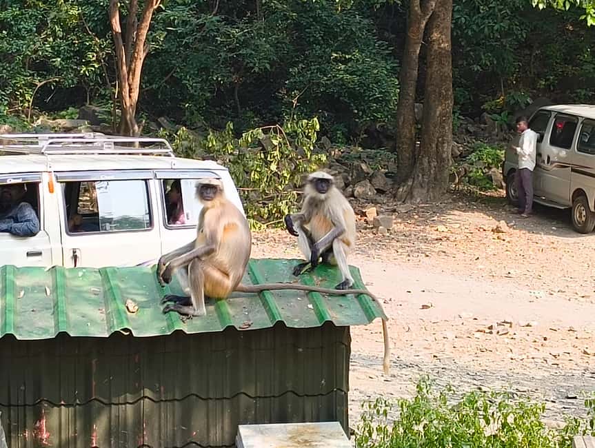 Mumbai Kanheri Caves & Golden Pagoda – A Buddhist Settlement - Tips for Shoes, Heat, and Photo-Friendly Timing