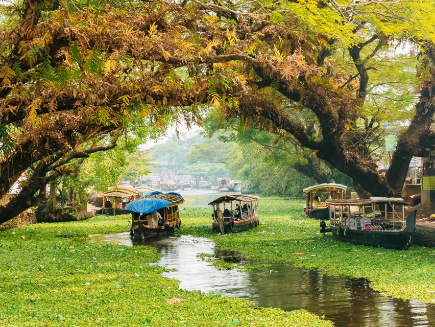 Mumbai Shore Excursion - Price and logistics: is $110 worth it for 7 hours?