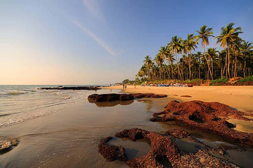 North Goa: Private Day Tour - Lunch stop: recharge before Baga’s energy
